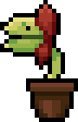 Potted plant.png